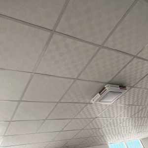 Gypsum Ceiling Board