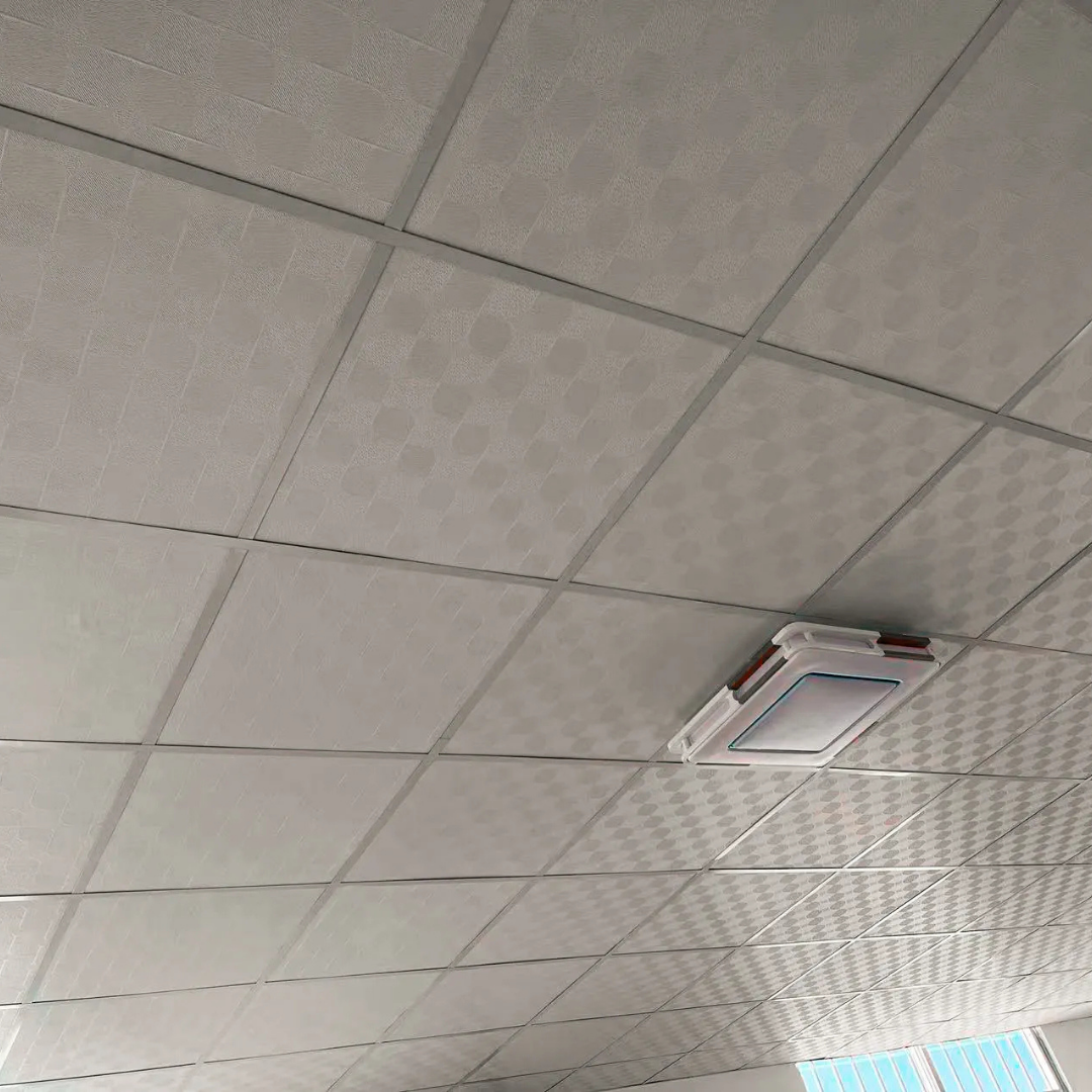 Gypsum Ceiling Board